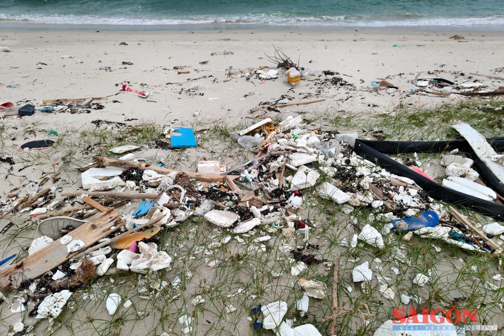 Bãi biển nguy cơ ô nhiễm vì lượng lớn rác thải trôi dạt vào bờ. Ảnh: HIẾU GIANG