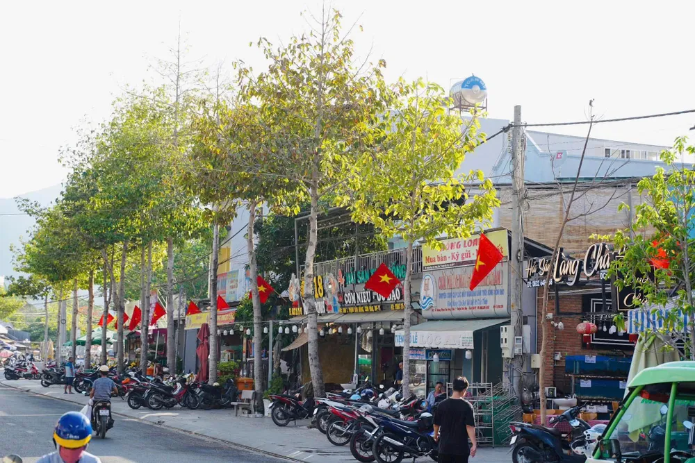 Rợp sắc cờ tại các tuyến đường, khu dân cư... z7105826573166_9a767cb8c6689777dd5d31d1b836c2b8.jpg