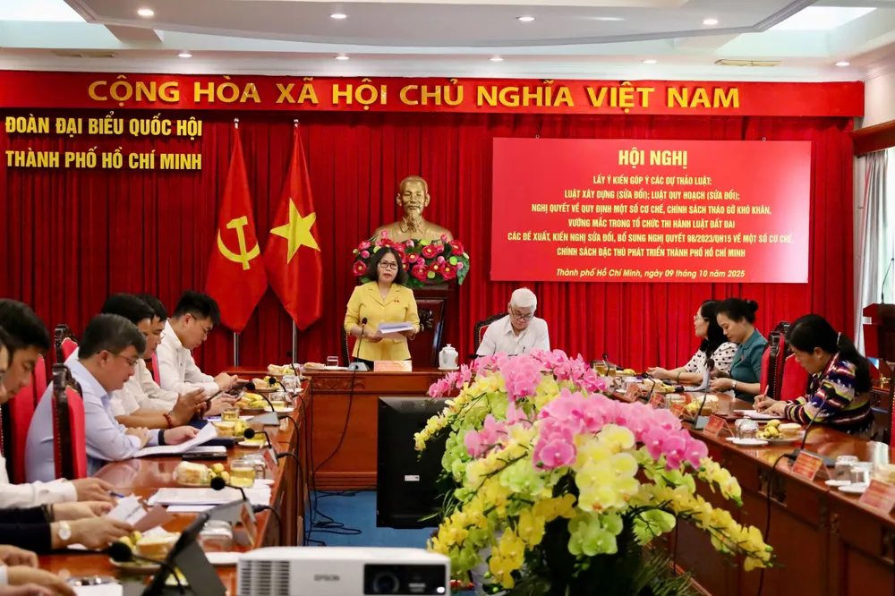 Đại biểu Quốc hội Nguyễn Thị Yến (đứng) phát biểu tại hội nghị. Ảnh: CẨM NƯƠNG IMG_0511.jpeg