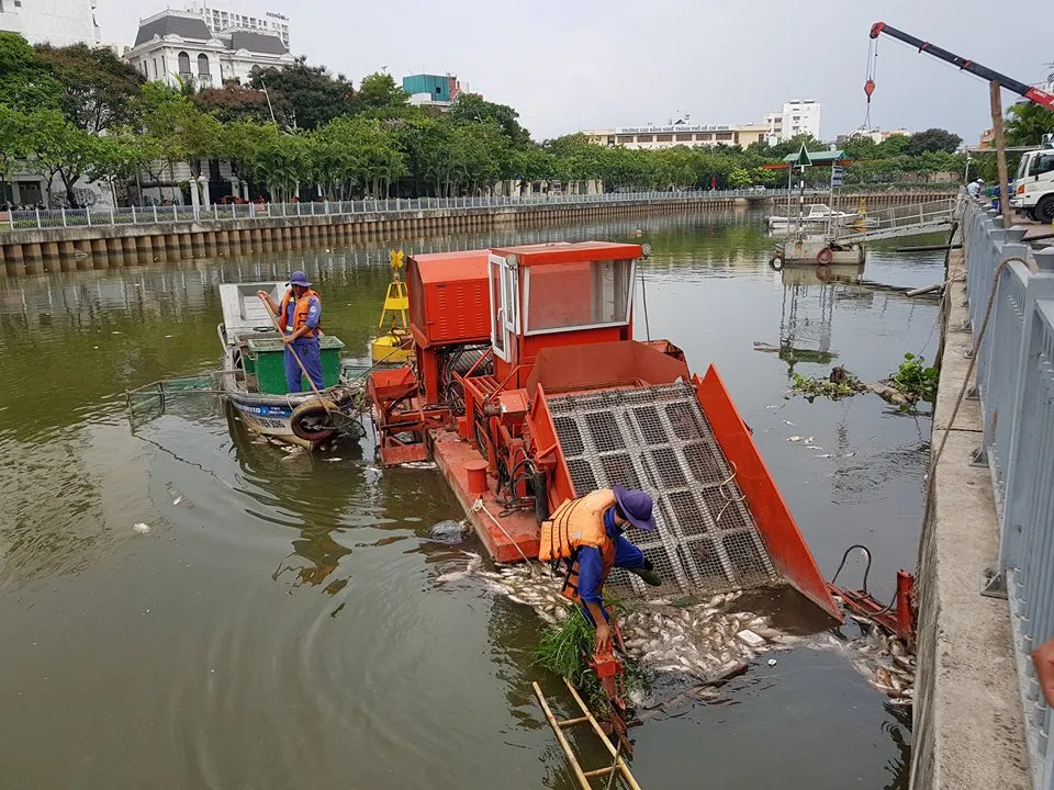 Cá chết hàng loạt trên kênh Nhiêu Lộc – Thị Nghè ảnh 5 Cá chết hàng loạt trên kênh Nhiêu Lộc – Thị Nghè ảnh 5
