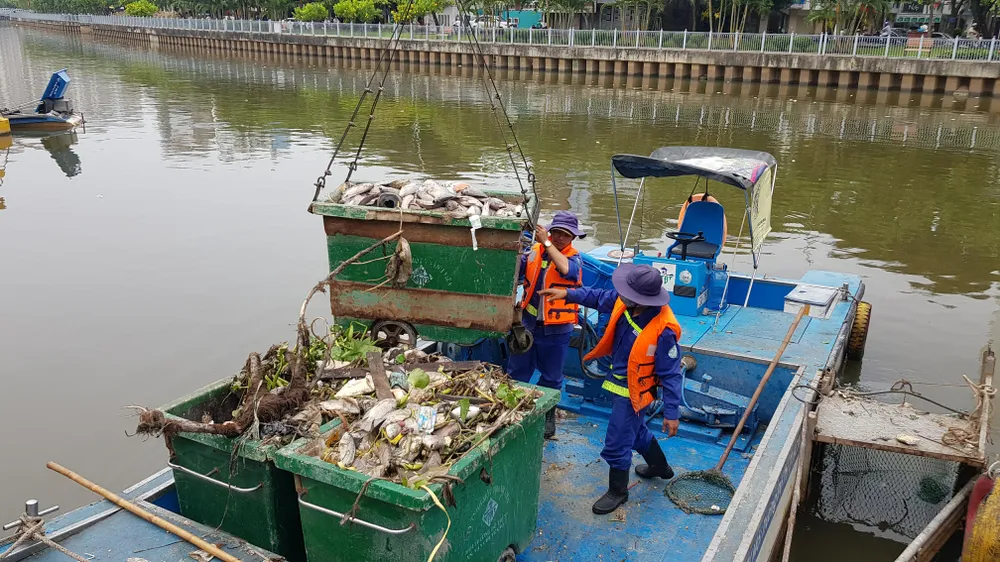 Cá chết hàng loạt trên kênh Nhiêu Lộc – Thị Nghè ảnh 1 Cá chết hàng loạt trên kênh Nhiêu Lộc – Thị Nghè ảnh 1