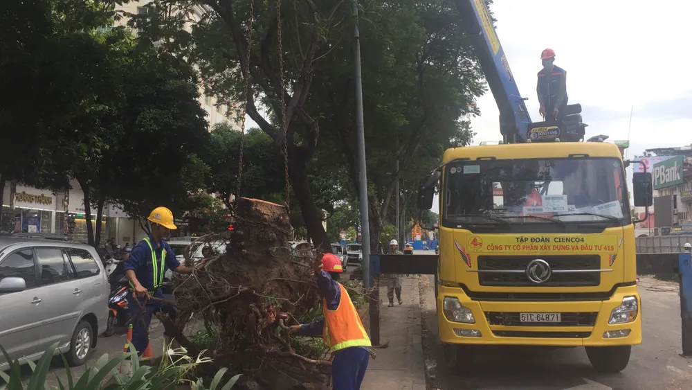 Gió lớn, cây ngã, nhà tốc mái, nhiều người bị thương ảnh 3 Gió lớn, cây ngã, nhà tốc mái, nhiều người bị thương ảnh 3