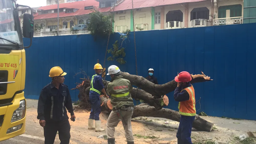 Gió lớn, cây ngã, nhà tốc mái, nhiều người bị thương ảnh 5 Gió lớn, cây ngã, nhà tốc mái, nhiều người bị thương ảnh 5