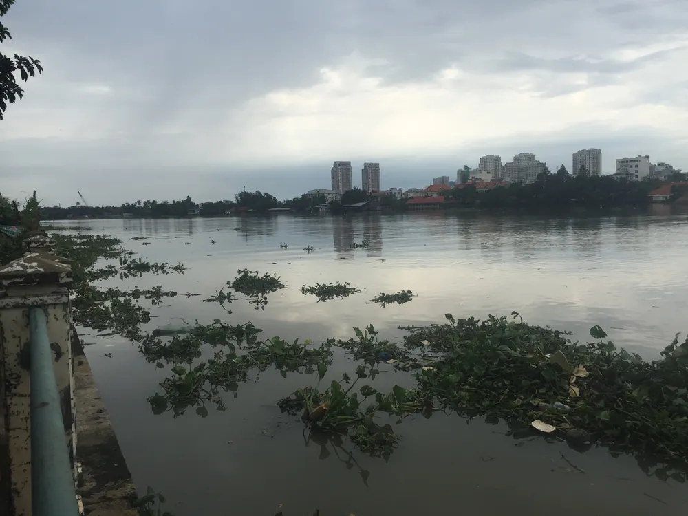 Phát hiện thi thể nam thanh niên trôi trên sông Sài Gòn ảnh 1