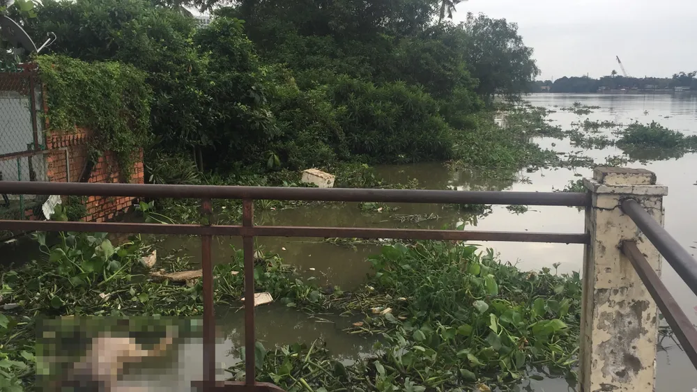 Phát hiện thi thể nam thanh niên trôi trên sông Sài Gòn ảnh 2