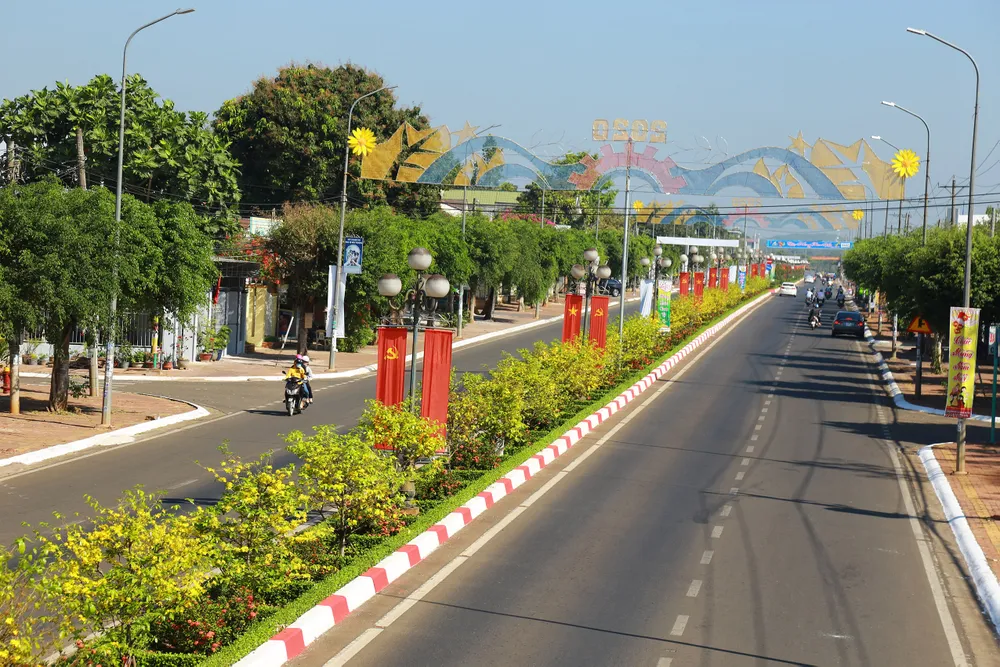 Dải phân cách mai vàng dài 5km độc nhất vô nhị ở Việt Nam ảnh 1 Dải phân cách mai vàng dài 5km độc nhất vô nhị ở Việt Nam ảnh 1