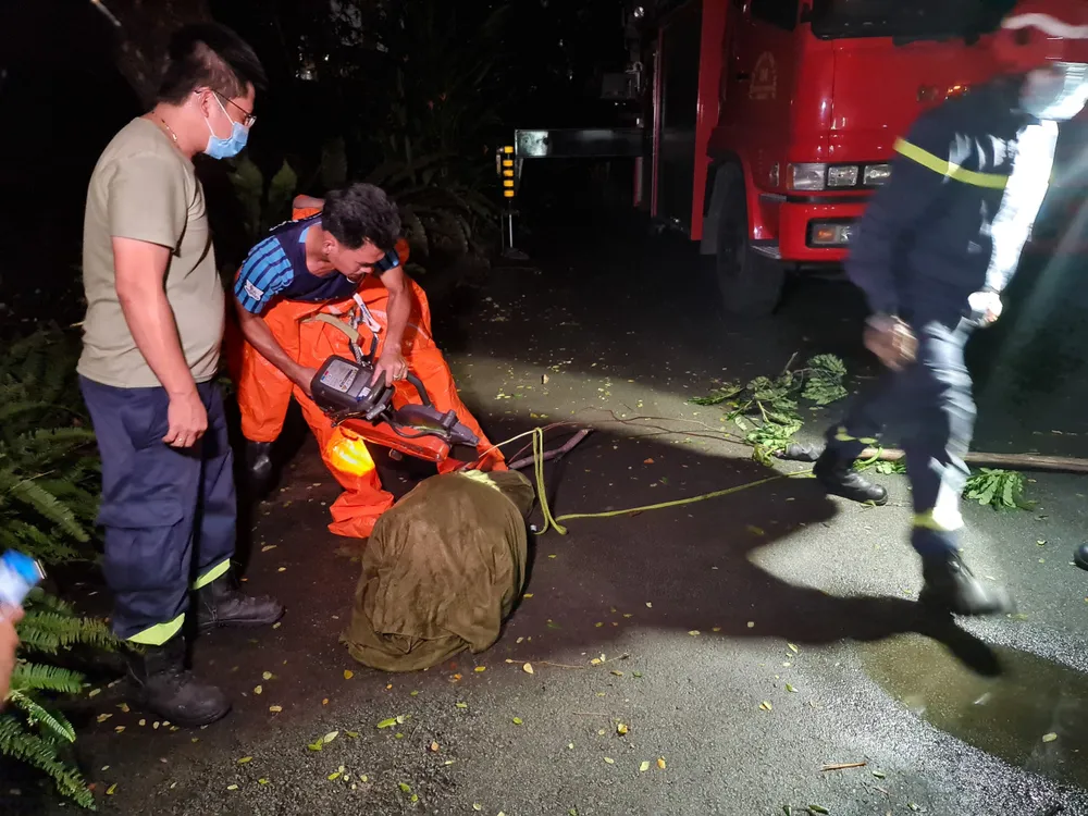 Cảnh sát PCCC TPHCM bắt tổ ong vò vẽ “khủng” trong Thảo Cầm Viên ảnh 5