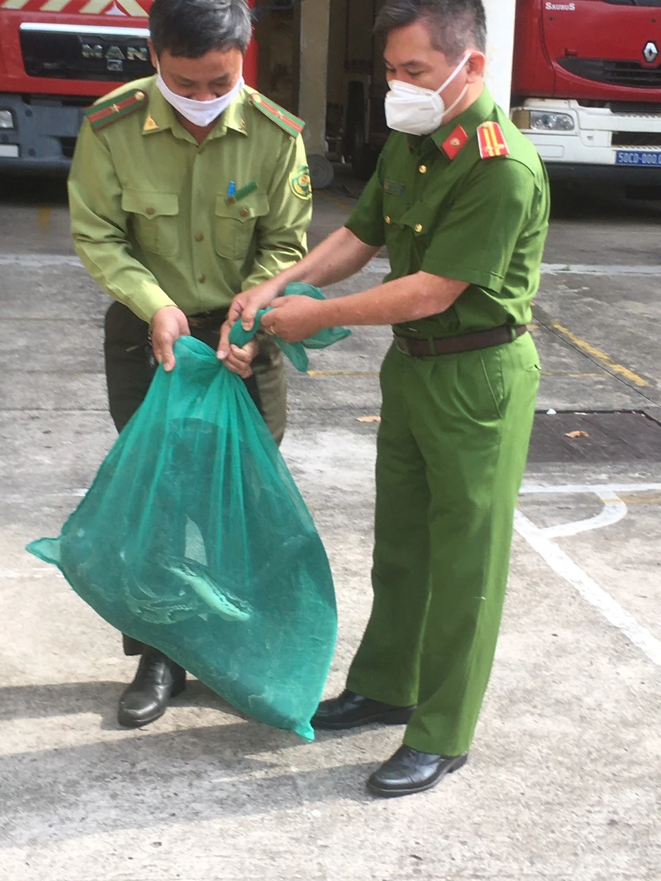 Giải cứu cô gái bị rơi thang máy từ tầng 4 xuống tầng hầm ở khách sạn ảnh 4 Giải cứu cô gái bị rơi thang máy từ tầng 4 xuống tầng hầm ở khách sạn ảnh 4