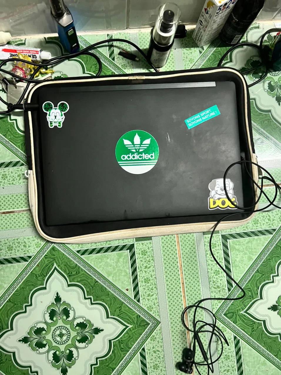 Bắt đối tượng chiếm đoạt tài sản của người nước ngoài ảnh 2