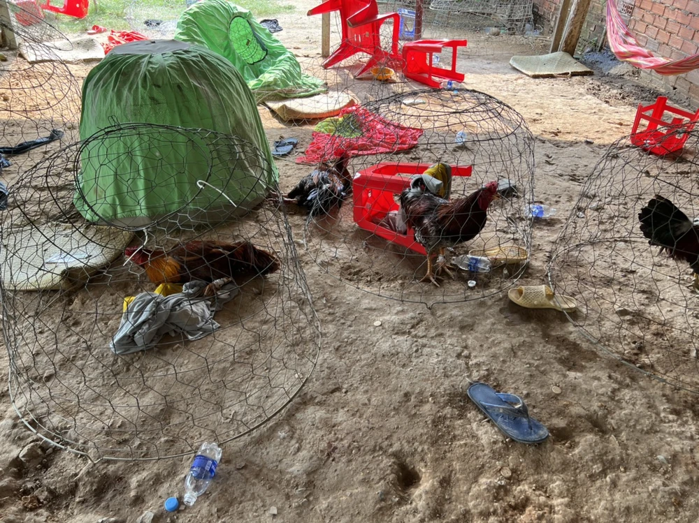 Triệt phá sòng bạc khủng ở huyện Bình Chánh ảnh 1 Triệt phá sòng bạc khủng ở huyện Bình Chánh ảnh 1