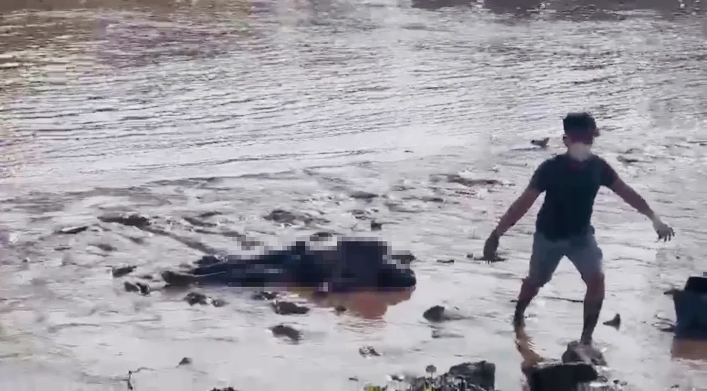 Lực lượng chức năng đưa thi thể nạn nhân vào bờ Lực lượng chức năng đưa thi thể nạn nhân vào bờ