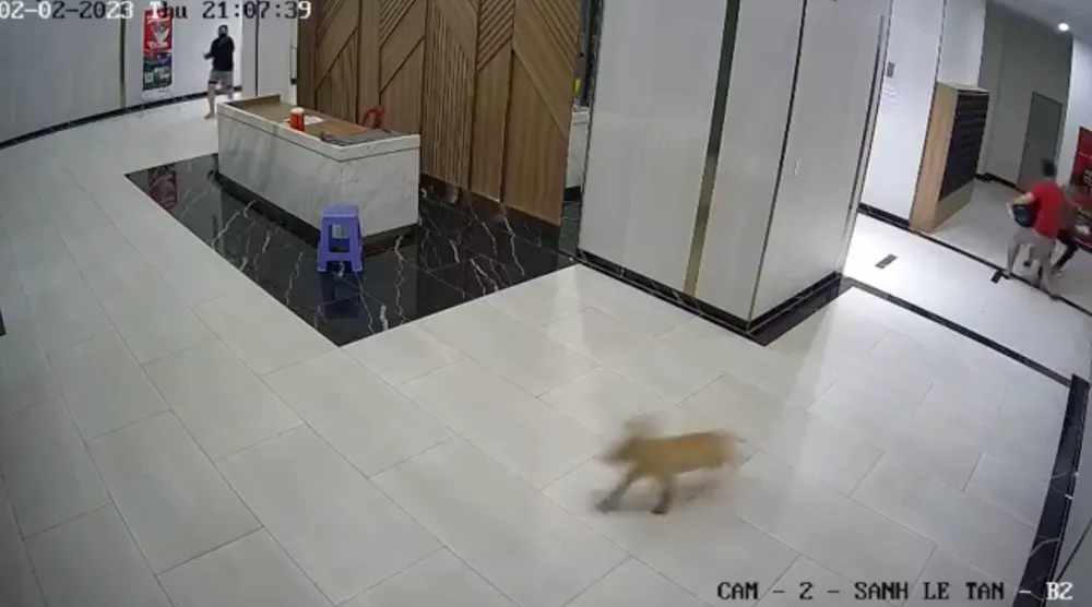 Hình ảnh vụ việc Hình ảnh vụ việc