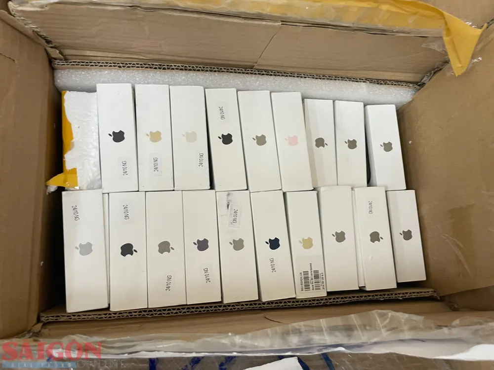 Tang vật thu giữ