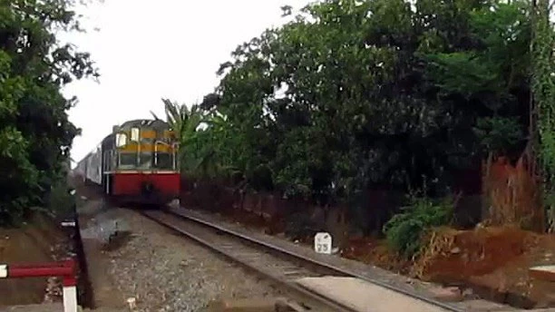 Sa thải ban lái tàu trong vụ hai đoàn tàu suýt đâm nhau tại ga Dầu Giây