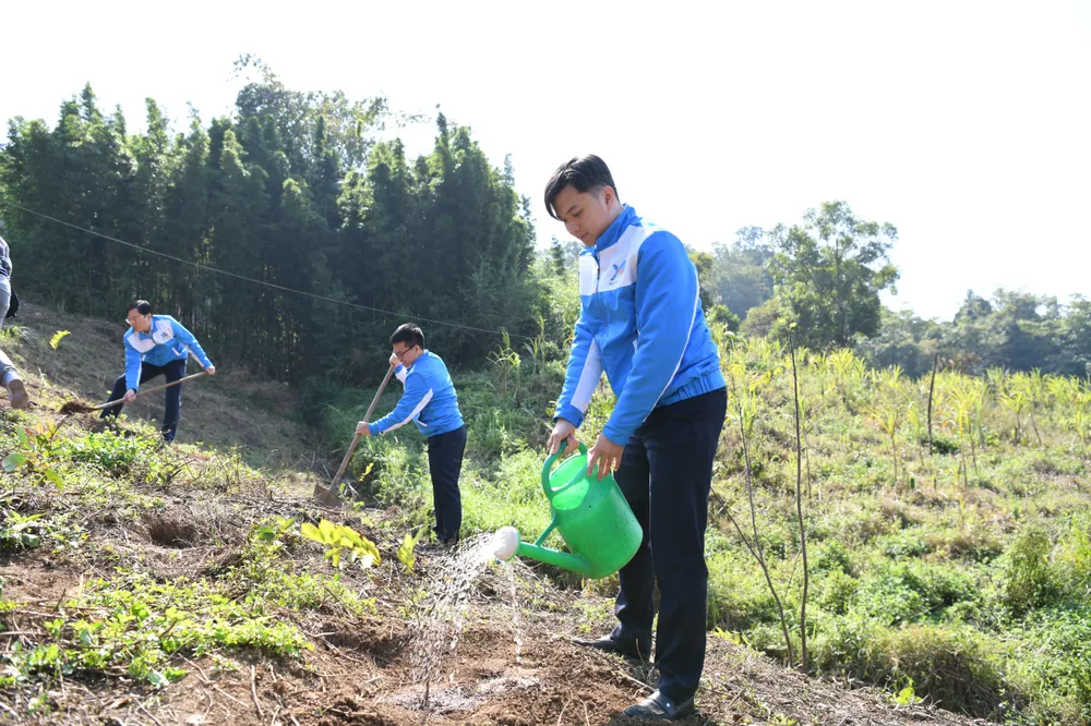 Thanh niên trồng và chăm bón cây trong Tết trồng cây ngày 28-1 tại tỉnh Hòa Bình