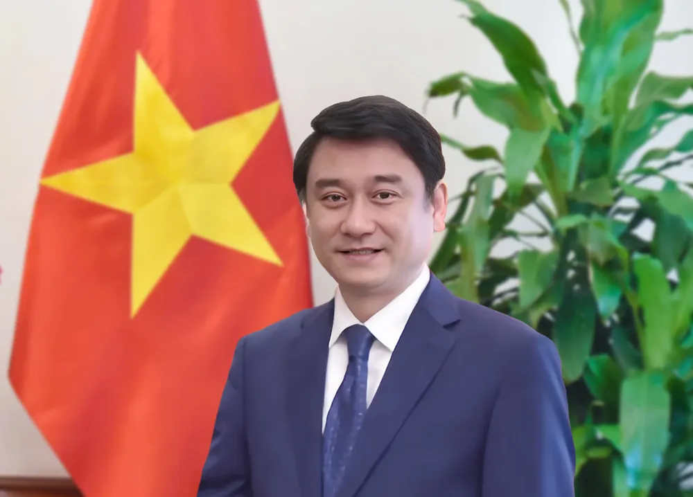 Thứ trưởng Bộ Ngoại giao Lê Anh Tuấn 1000008040.jpg