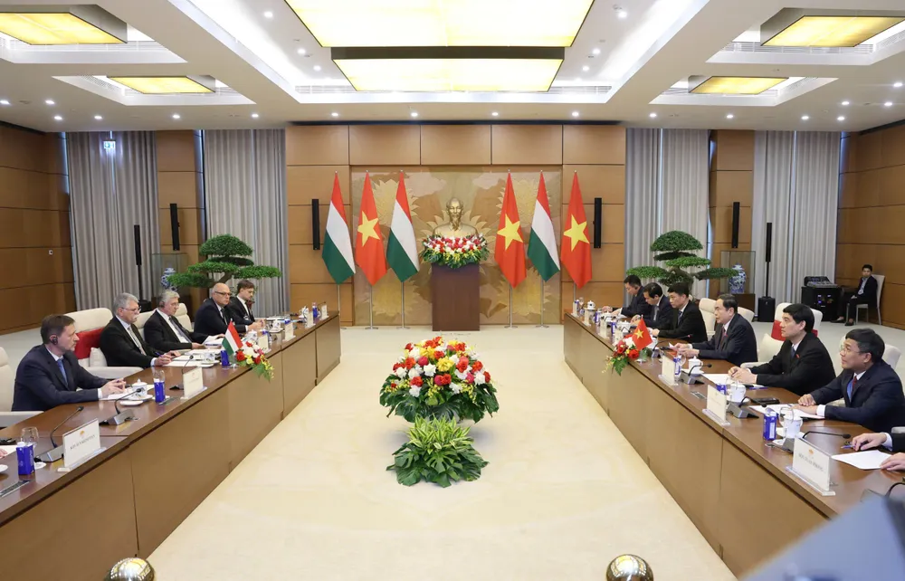 Chủ tịch Quốc hội Trần Thanh Mẫn và Chủ tịch Quốc hội Hungary Kover Laszlo hội đàm. Ảnh: VIẾT CHUNG 1000012435.jpg