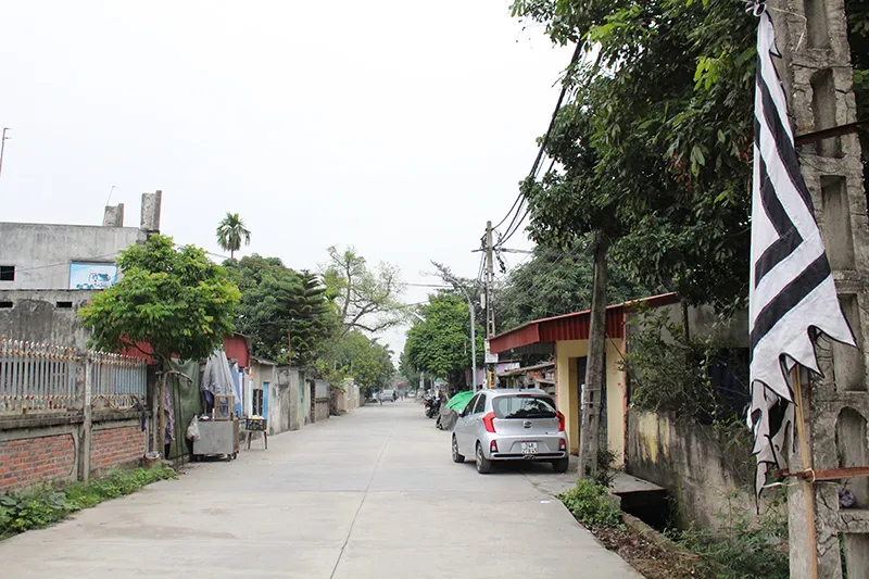 Tang thương thôn Lương Xá Nam ảnh 9