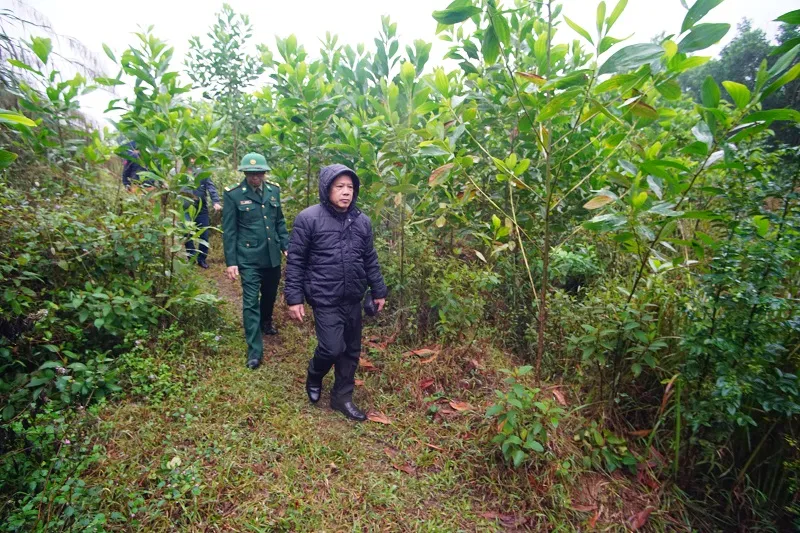 Những chứng tích oai hùng trên Đồi Quế ảnh 2 Những chứng tích oai hùng trên Đồi Quế ảnh 2