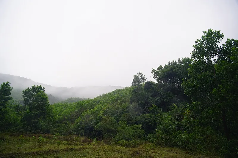 Những chứng tích oai hùng trên Đồi Quế ảnh 3 Những chứng tích oai hùng trên Đồi Quế ảnh 3