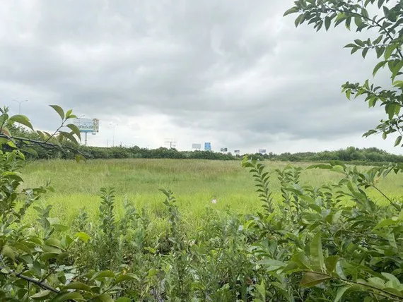 Tạm đình chỉ điều tra vụ án liên quan tới con gái Chủ tịch HĐQT Tập đoàn Tân Hiệp Phát ảnh 1