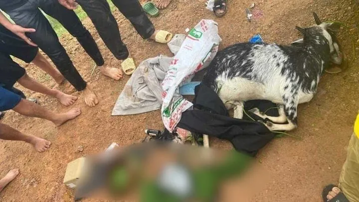 Tang vật vụ việc Tang vật vụ việc