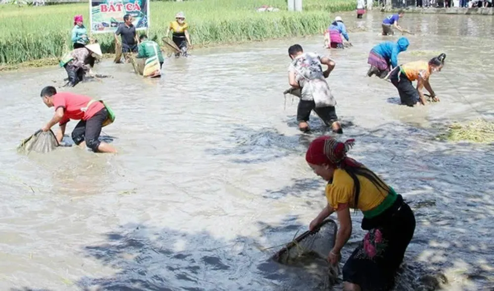 Phần thi bắt cá cũng thu hút đông đảo người dân và du khách tham dự 14.jpg