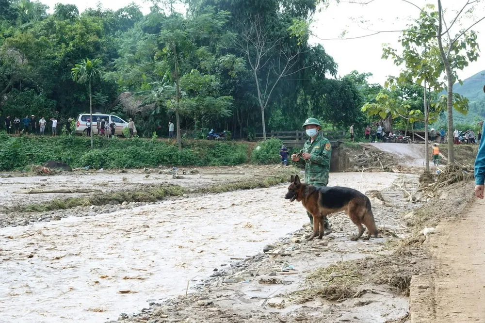 z5823466849387_02922889eab85610f117d11ede57e29b (1).jpg