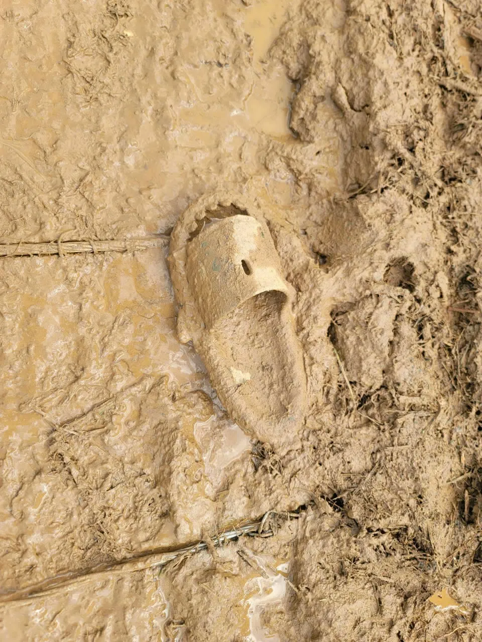 z5823468810140_a43c0ca108f922bdaf471196b9571077 (1).jpg