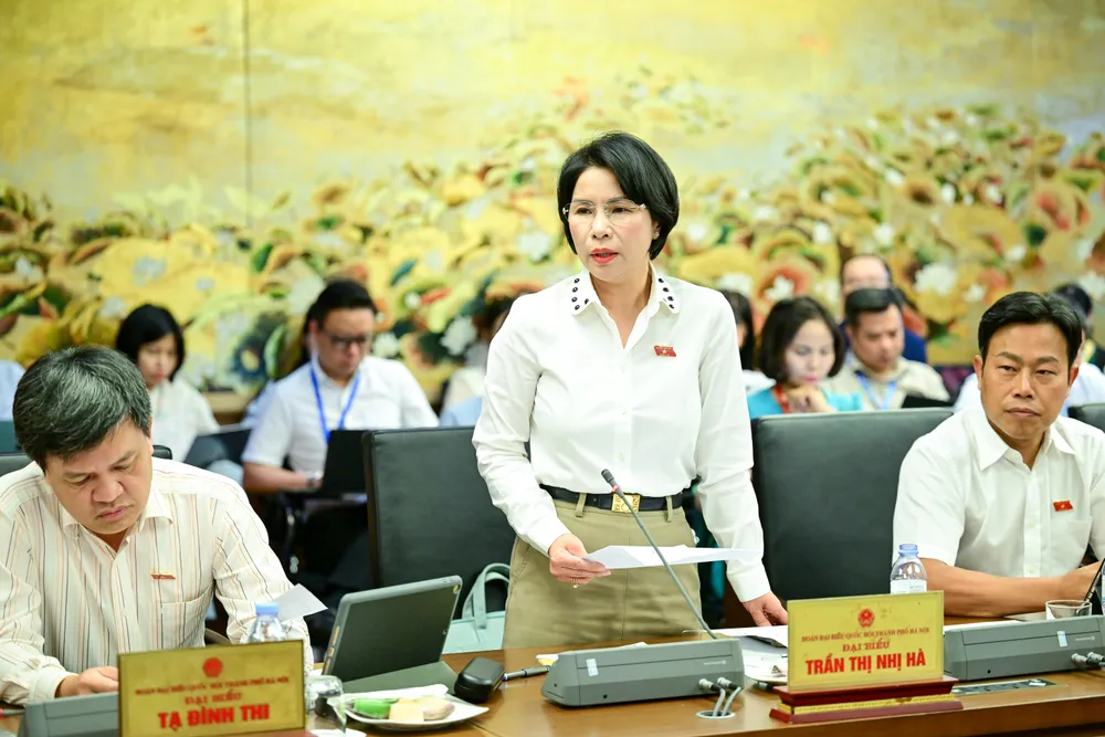 ĐB Trần Thị Nhị Hà đóng góp ý kiến. Ảnh: ĐỖ TRUNG DSC_3017.jpg
