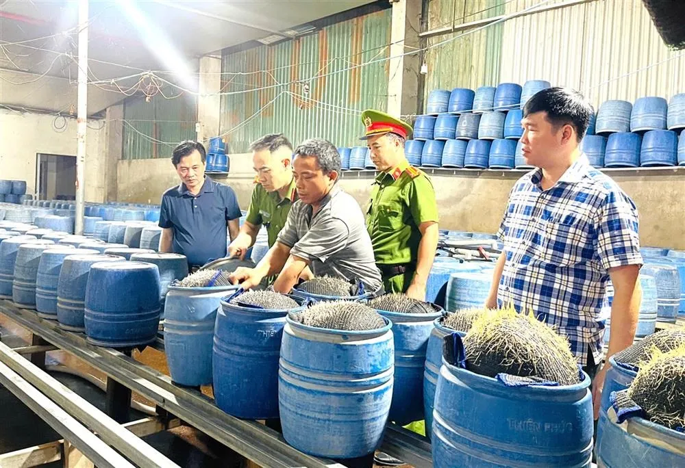Hiện trường nơi sản xuất giá đỗ dùng chất cấm tạo sinh trưởng 318_tr.jpg