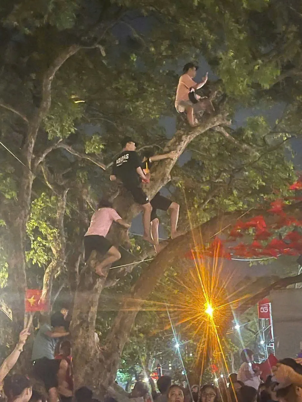 Một số người dân leo lên cây gây mất cảnh quan và nguy hiểm cho bản thân cũng như người xung quanh z6942977159857_5935c51e2b69943f8a1460191307a217.jpg