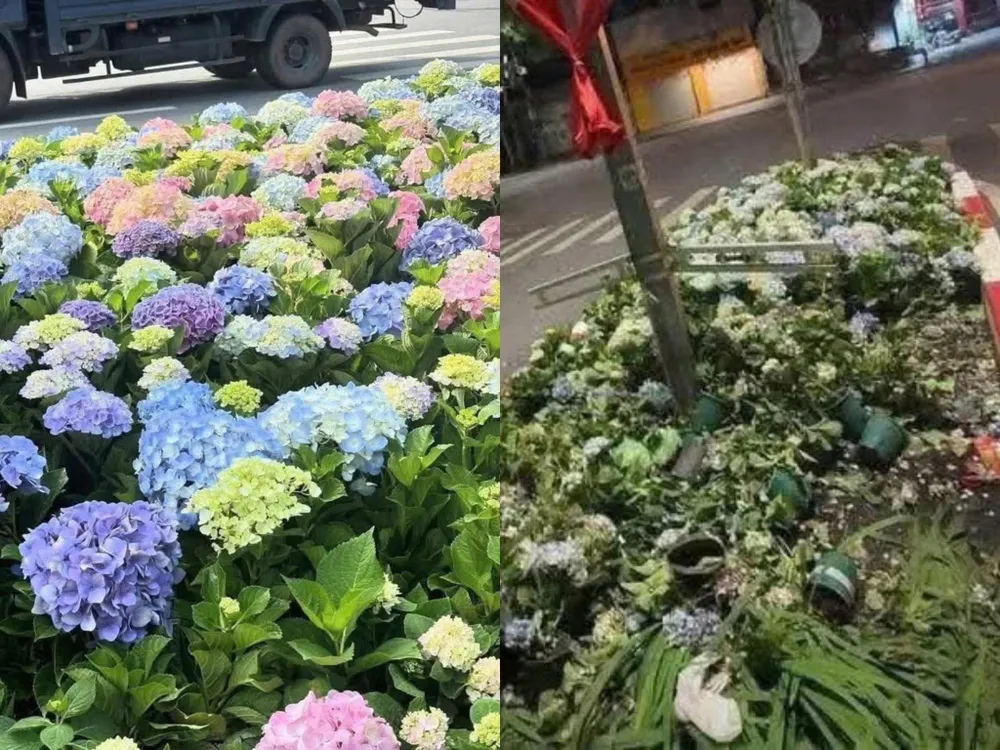 Luống hoa trước và sau khi tổ chức tổng hợp luyện ngày 24-8 z6942977277028_3eb96464e754cc603232dd79919f436d.jpg
