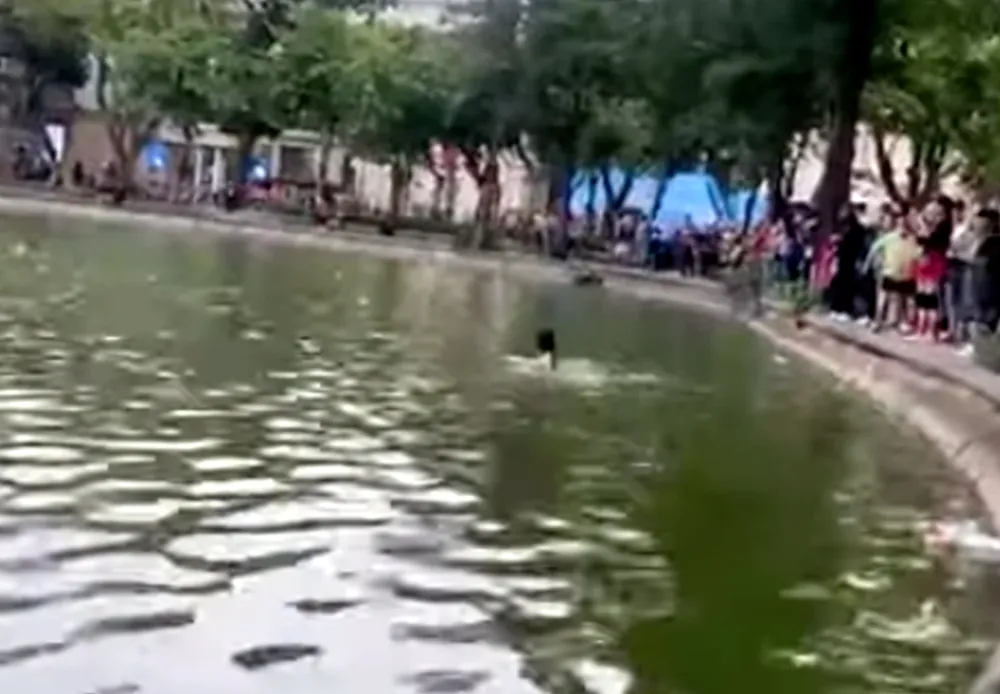 Hiện trường nơi xảy ra vụ việc. Ảnh cắt từ clip 58.png