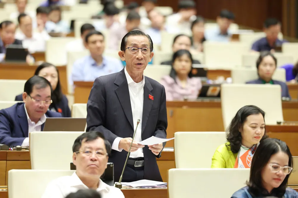 ĐB Trần Hoàng Ngân (TPHCM). Ảnh: QUANG PHÚC Trần Hoàng Ngẫn.jpg