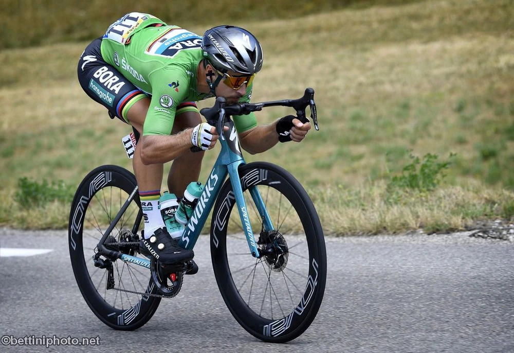 Peter Sagan trên đường đua