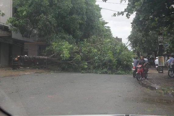 Hà Tĩnh, Nghệ An ngổn ngang sau bão ảnh 26