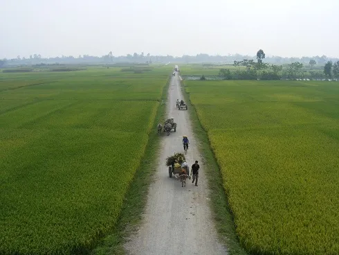 Thành Nhà Hồ - Đá truyền lời tiền nhân	 ảnh 11