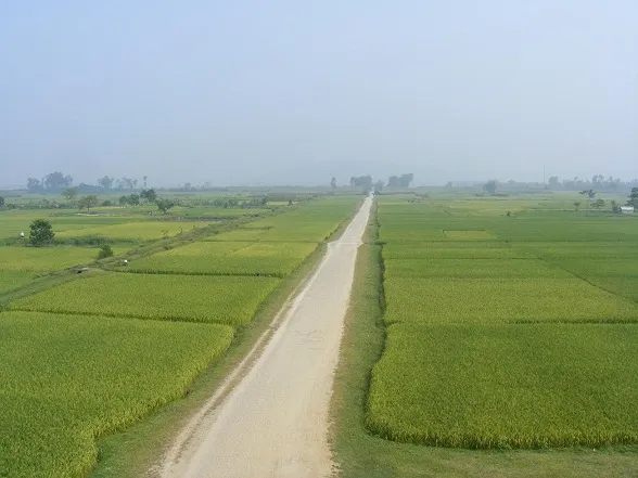 Thành Nhà Hồ - Đá truyền lời tiền nhân	 ảnh 1