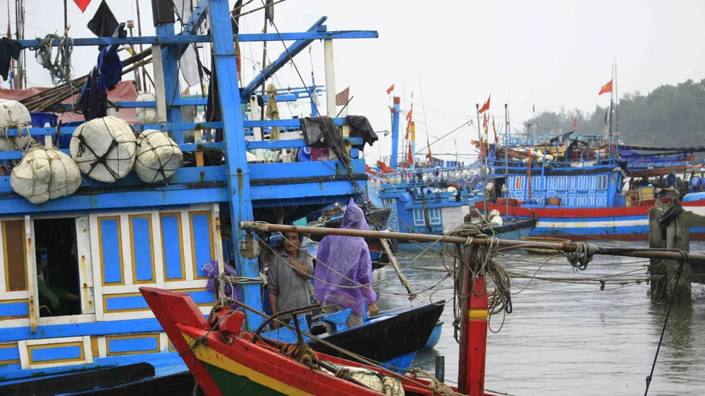 Các tỉnh miền Trung khẩn trương đối phó với bão số 10 ảnh 13