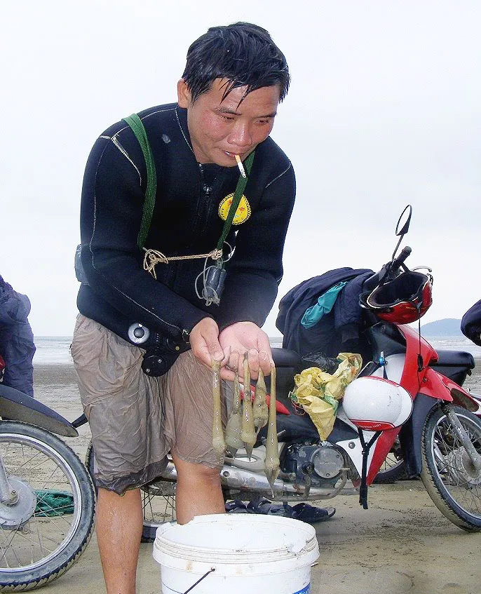 Kỳ thú nghề săn rum biển ảnh 8