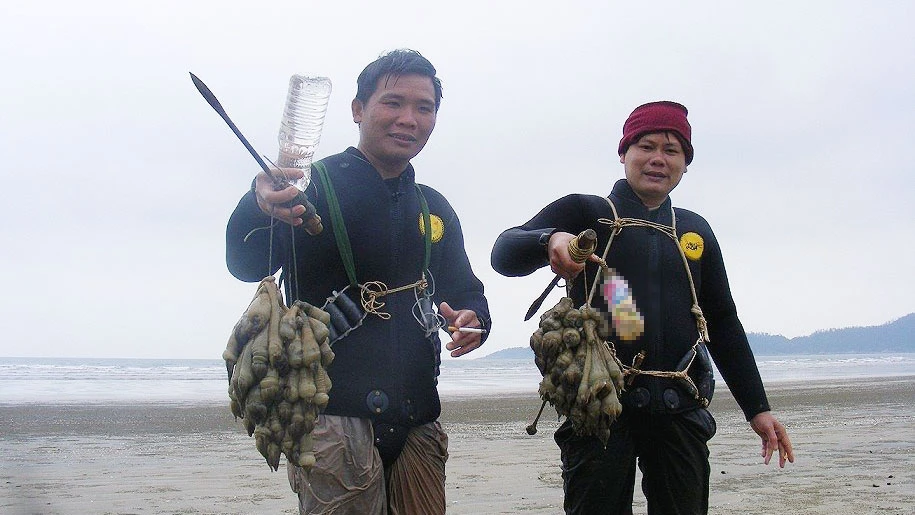 Kỳ thú nghề săn rum biển