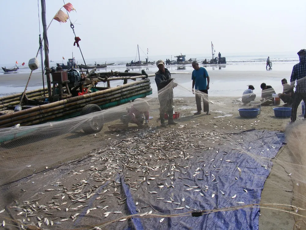 Ngư dân Thanh Hóa “mở cửa biển”, ra khơi đánh bắt đầu năm ảnh 2