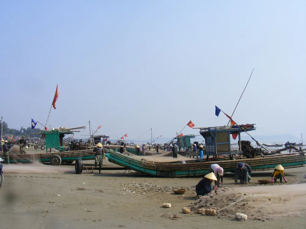 Ngư dân Thanh Hóa “mở cửa biển”, ra khơi đánh bắt đầu năm ảnh 3