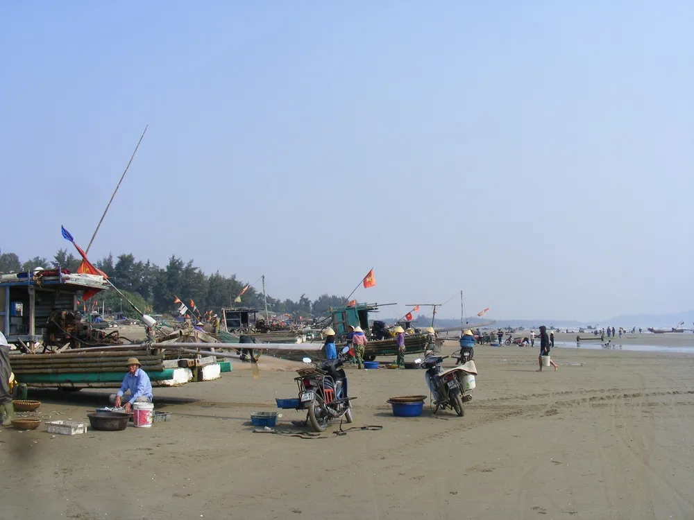 Ngư dân Thanh Hóa “mở cửa biển”, ra khơi đánh bắt đầu năm ảnh 6