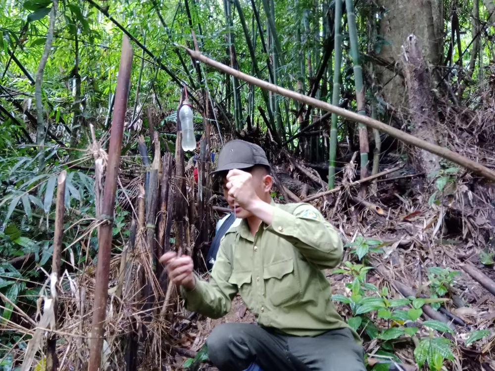 Gỡ bẫy của những người săn bắt thú rừng Gỡ bẫy của những người săn bắt thú rừng