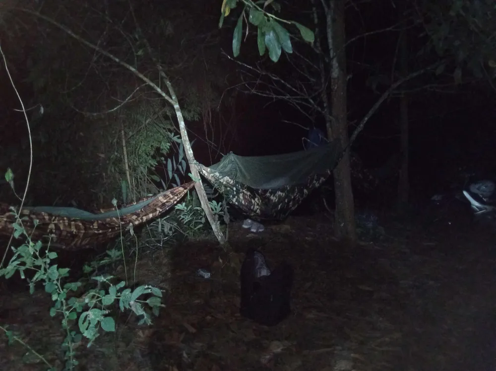 Qua đêm giữa rừng Qua đêm giữa rừng