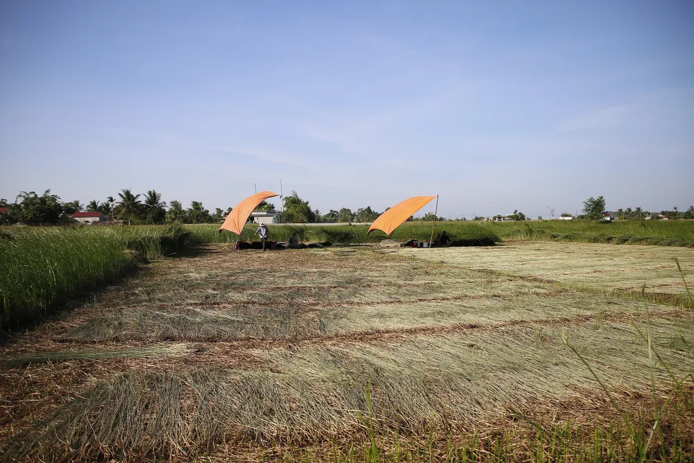 Để bớt nắng nóng, nông dân dùng bạt căng lên tại các vị trí làm việc