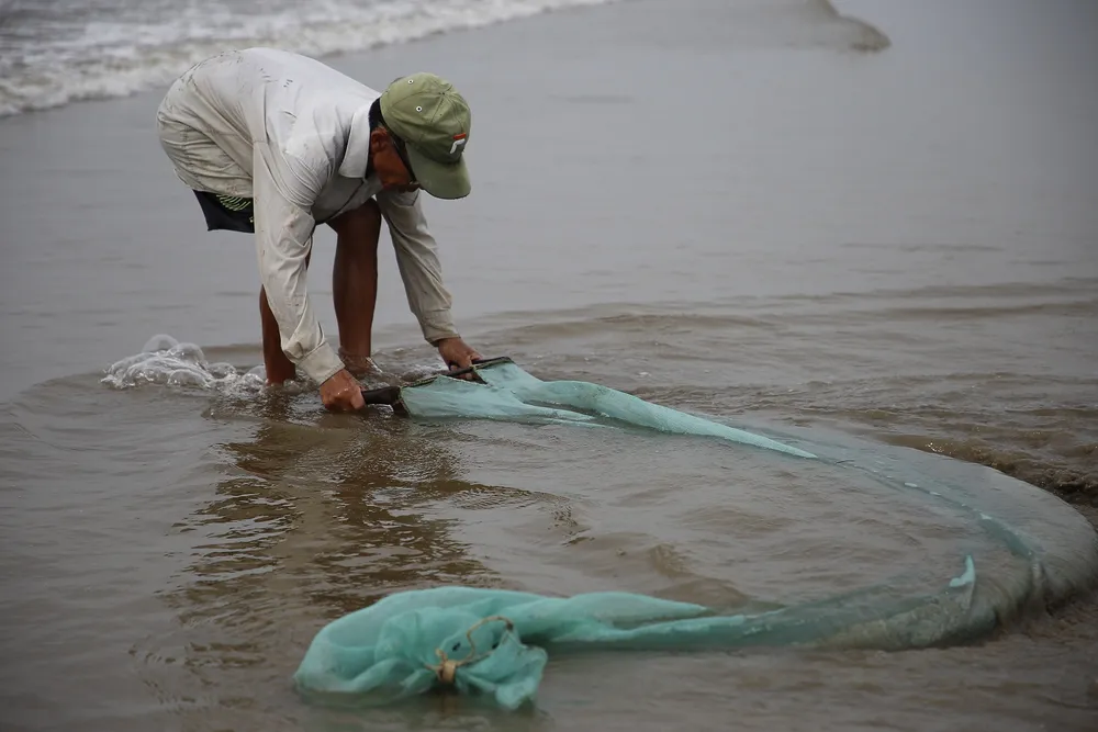 Đi lùi "nạo" dắt Đi lùi "nạo" dắt