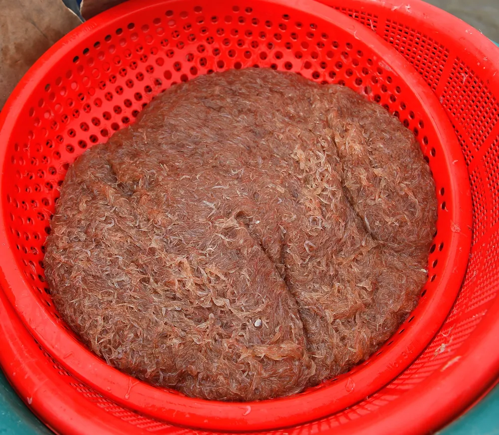 Mẻ moi đầu mùa tươi rói Mẻ moi đầu mùa tươi rói